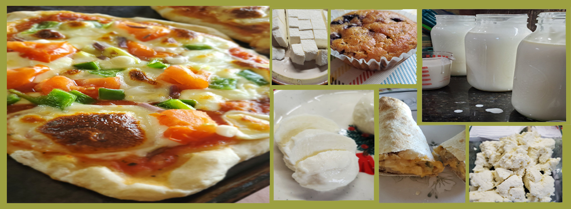 Cheese Resources - Food Prood - Laura Lawrence Homesteader